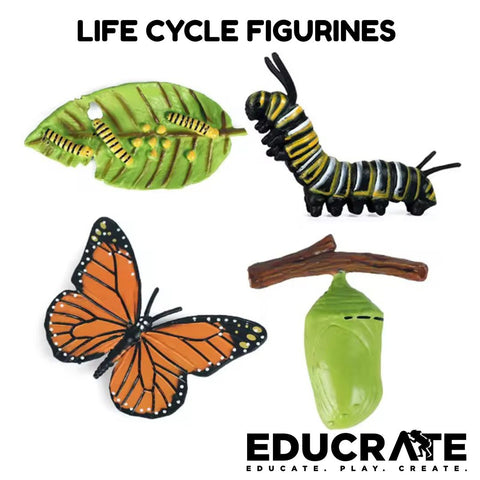Life Cycle Figurines of Animals, Insect, Plant and Butterfly