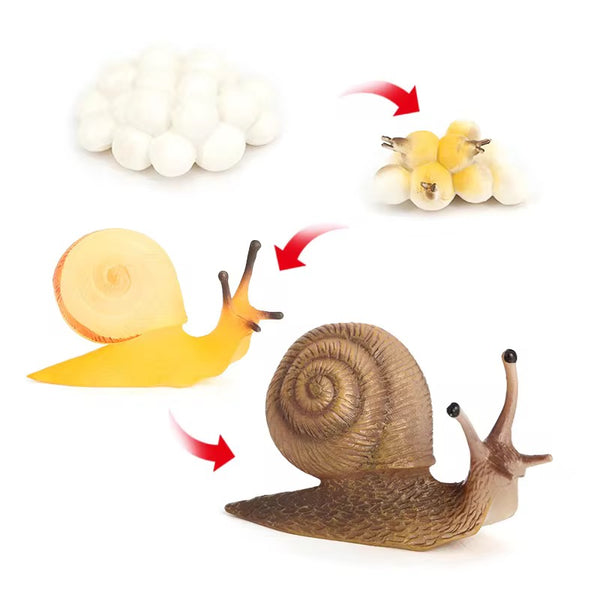 EducratePH Life Cycle Figurines of Animals, Insect, Plant and Butterfly