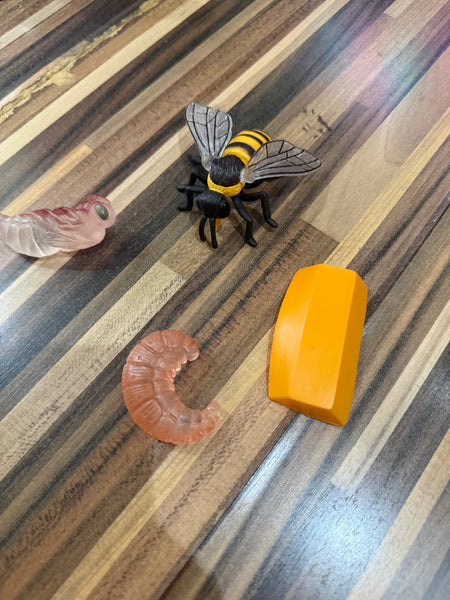 EducratePH Life Cycle Figurines of Animals, Insect, Plant and Butterfly