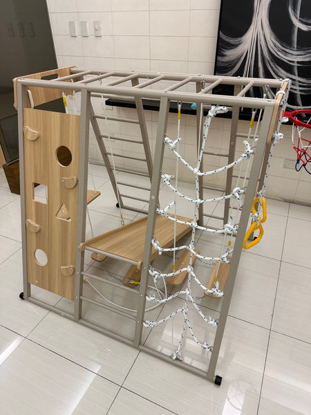 EducratePH Falcon Steel Activity Jungle Gym / Slide and Swing