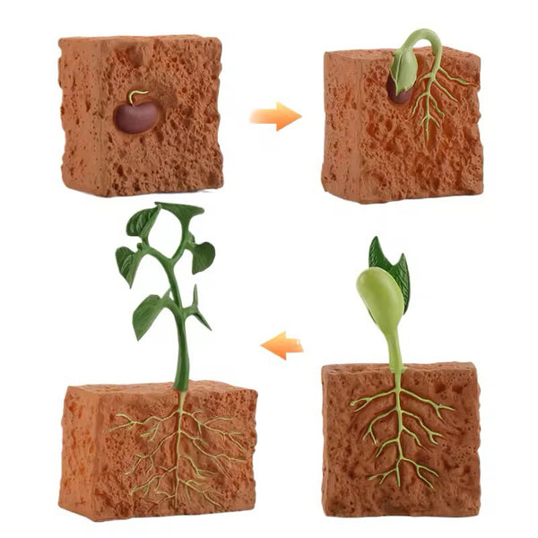 EducratePH Life Cycle Figurines of Animals, Insect, Plant and Butterfly