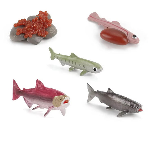 EducratePH Life Cycle Figurines of Animals, Insect, Plant and Butterfly