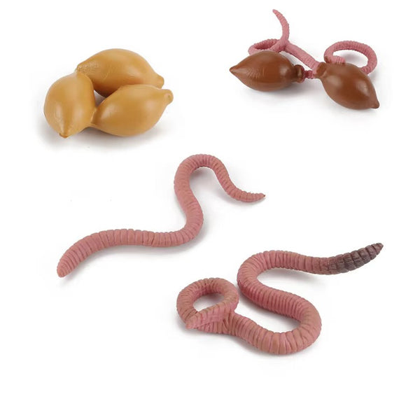 EducratePH Life Cycle Figurines of Animals, Insect, Plant and Butterfly