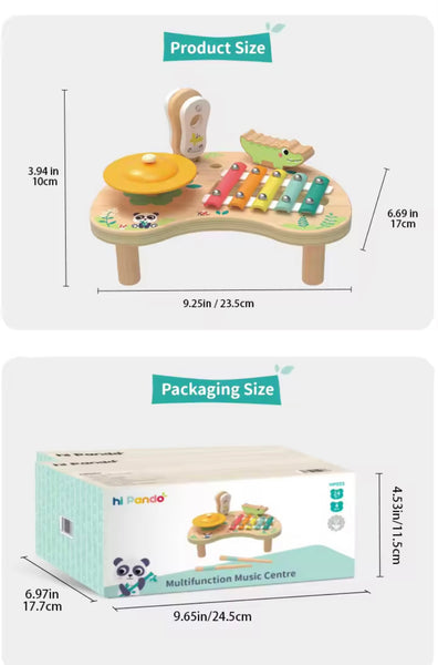 Hi Pando Multi Purpose Music Center HP055