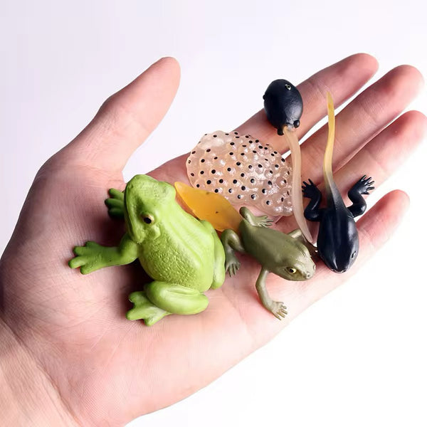 EducratePH Life Cycle Figurines of Animals, Insect, Plant and Butterfly