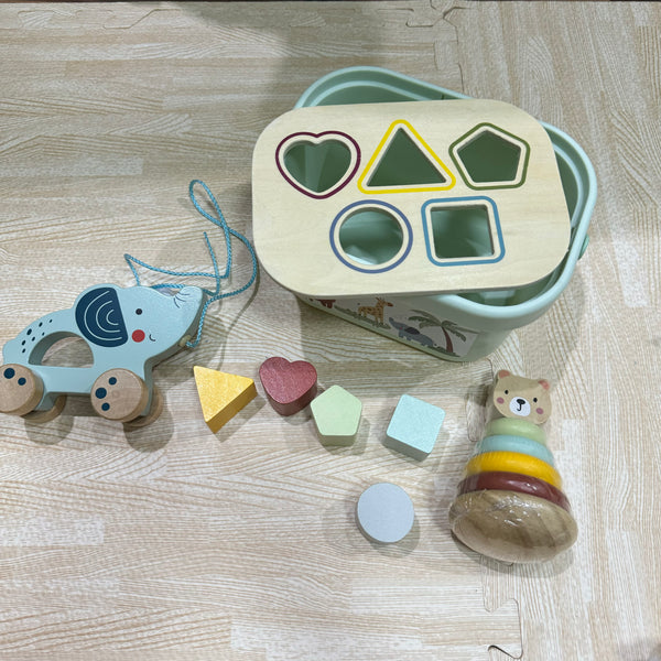 Tooky Land 3 in 1 Toy boy (shape sorter, pull toy, rainbow stacker with Case