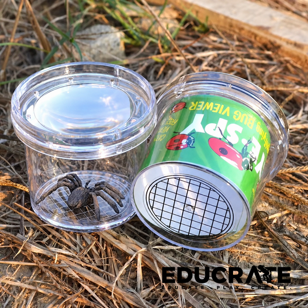 EducratePH 1pc Kids Insect Observation Cup with Magnifying Lid | Bug Viewer for Nature Exploration & Science Learning