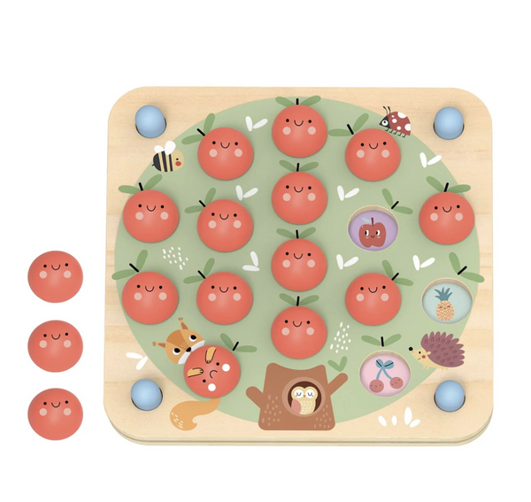 Tooky Toy Memory Game for Toddler and elderly