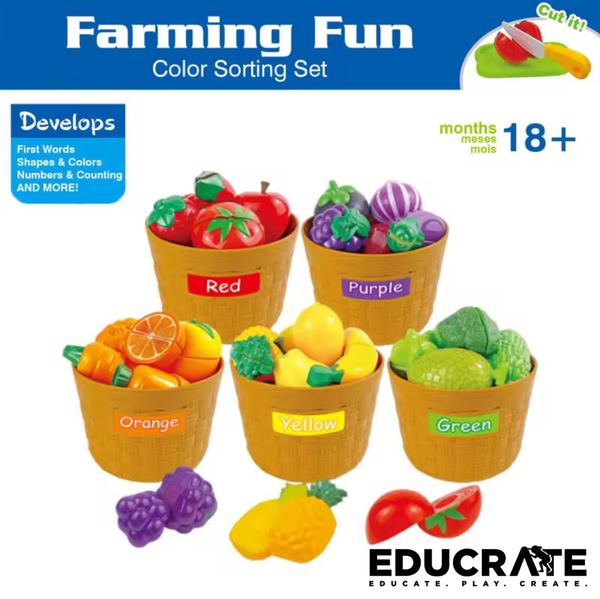 EducratePH Color Sorting Fruits & Vegetables Set | Color Match& Pretend Play | 18+ Months