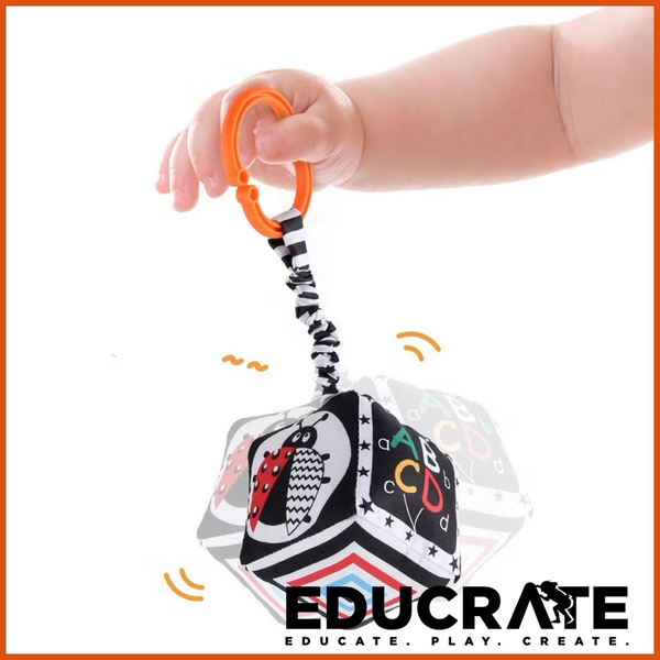 Soft Hanging Rattle for Crib and Stroller or Car