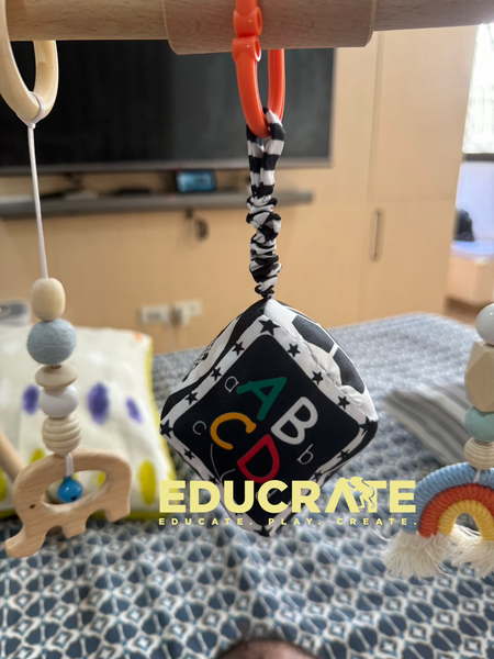 Soft Hanging Rattle for Crib and Stroller or Car
