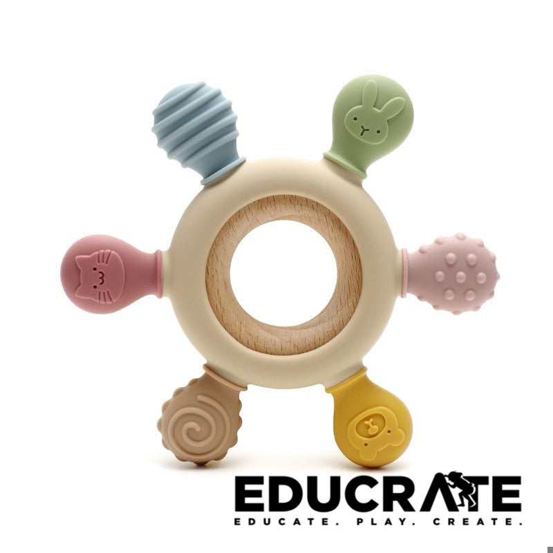 Silicone Textured Teether ring beechwood BPA free infant 3Mons+ teething