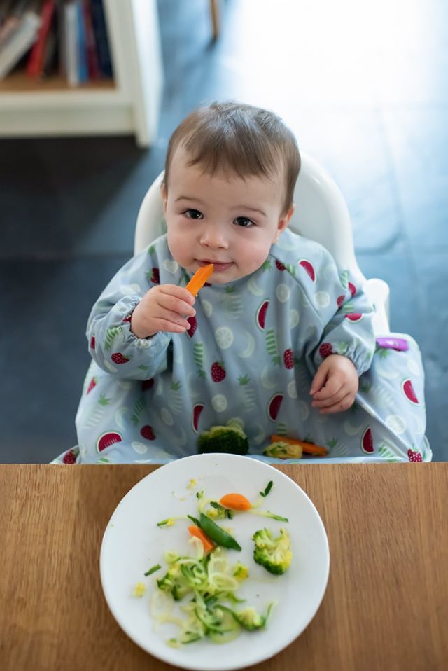 Tidy tot Cover and Catch Bib LONGSLEEVES