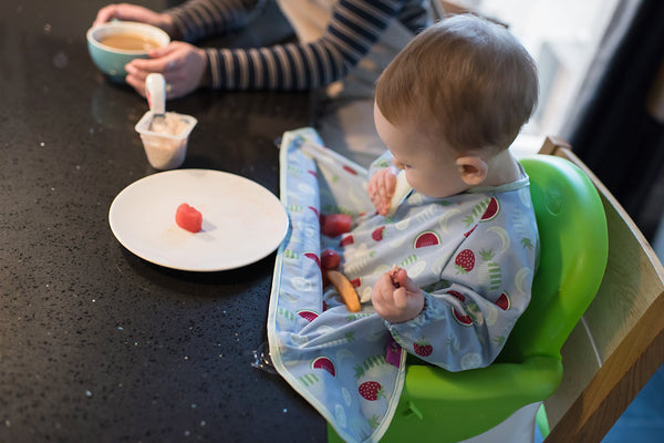 Tidy tot Cover and Catch Bib LONGSLEEVES