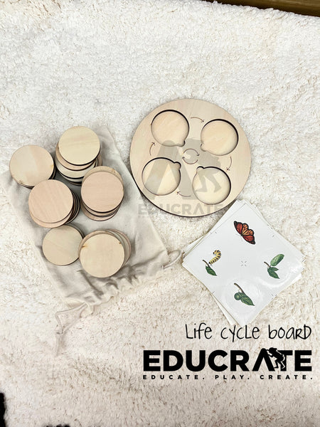 Wooden Life Cycle Board